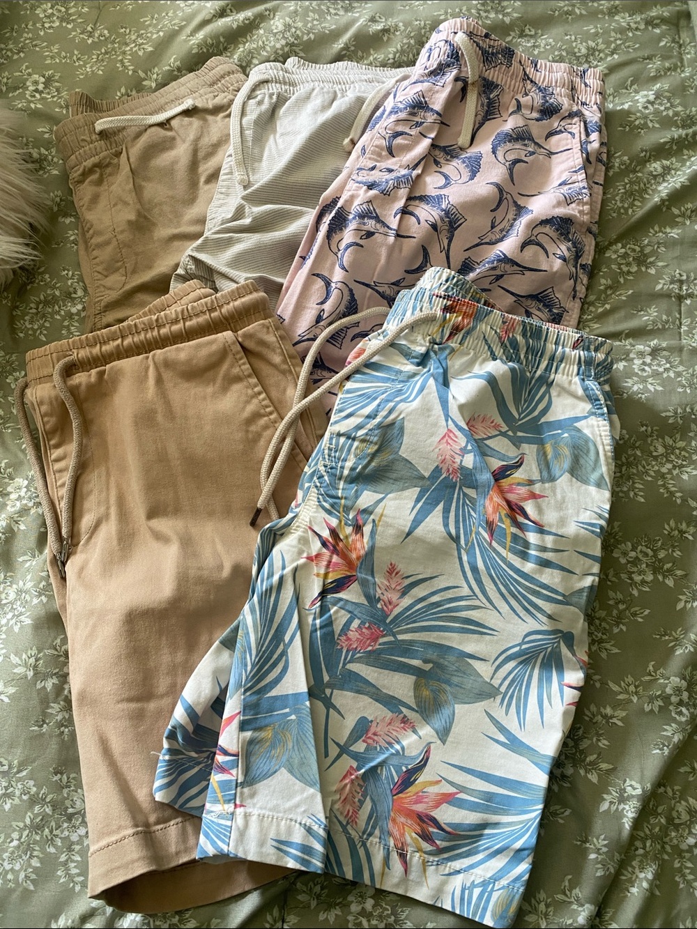 Old Navy Mixed Casual Track Shorts — Tan, Cream, Pink Floral & Blue Tropical